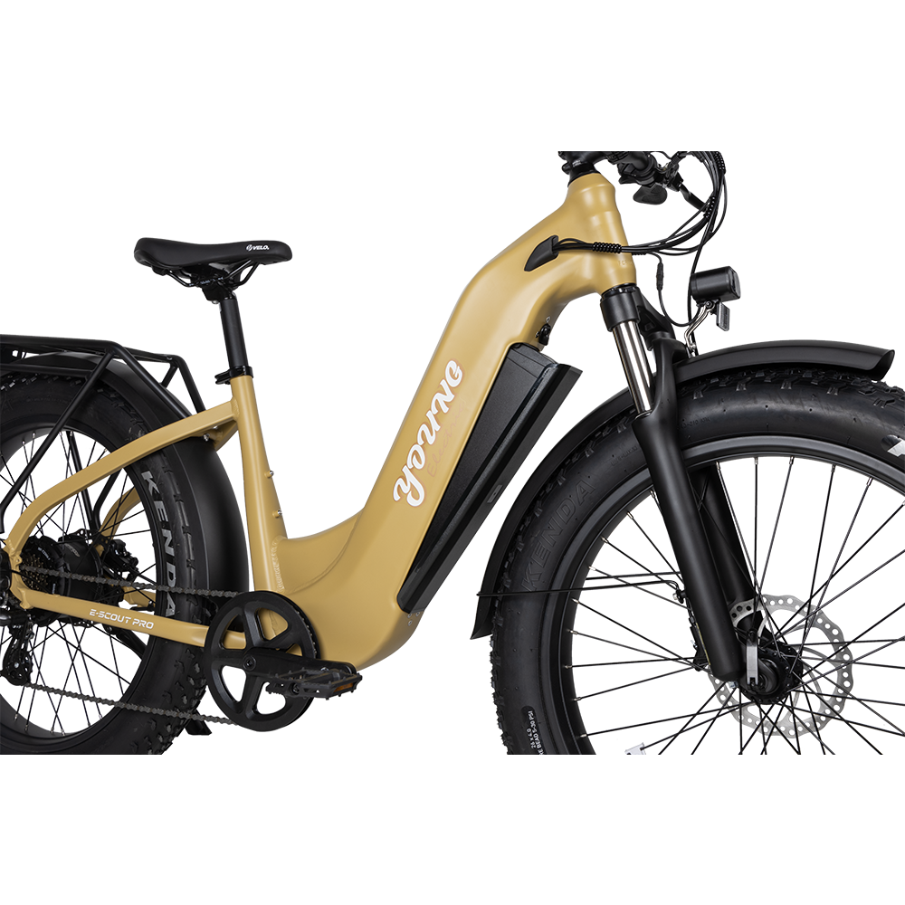 E-Scout Pro Step-Through Commuter eBike