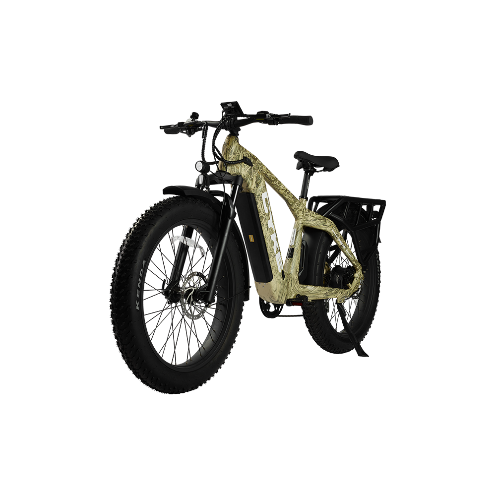 Cheetah Hunting eBike