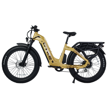 Lynx Commuter eBike