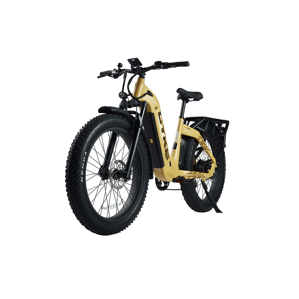 Lynx Commuter eBike