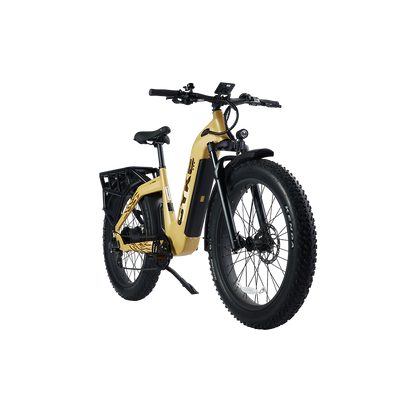 Lynx Commuter eBike