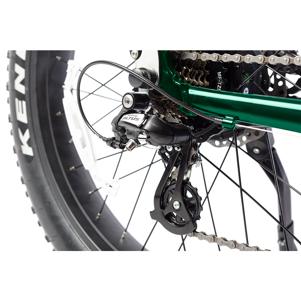 E-Scout Off-Road eBike