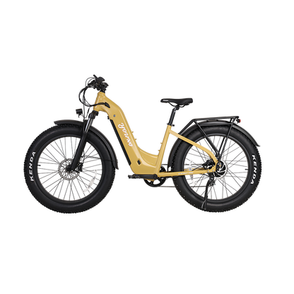 E-Scout Pro Step-Through Commuter eBike