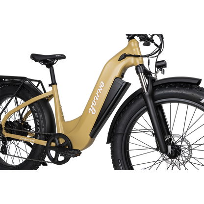 E-Scout Pro Step-Through Commuter eBike