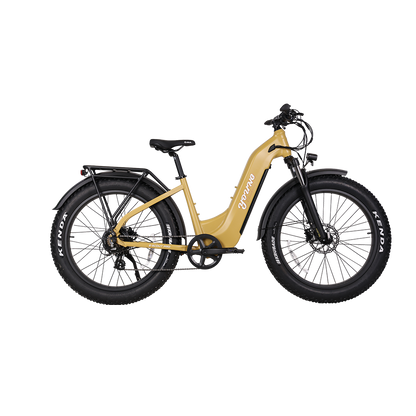 E-Scout Pro Step-Through Commuter eBike