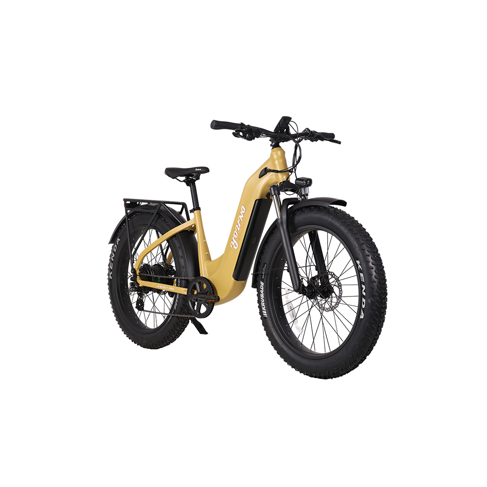 E-Scout Pro Step-Through Commuter eBike