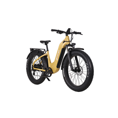 E-Scout Pro Step-Through Commuter eBike