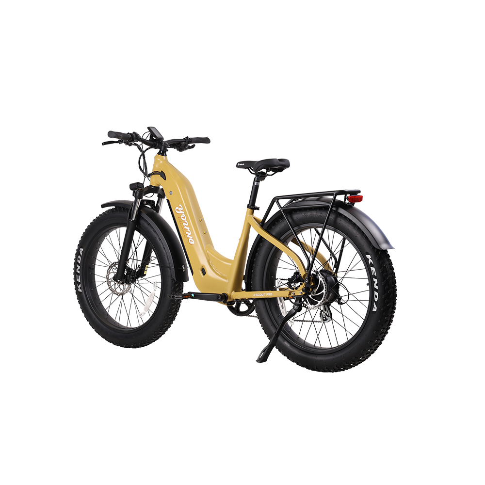 E-Scout Pro Step-Through Commuter eBike