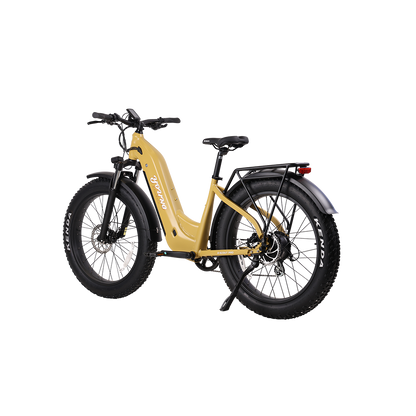 E-Scout Pro Step-Through Commuter eBike