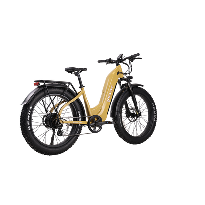 E-Scout Pro Step-Through Commuter eBike