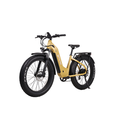 E-Scout Pro Step-Through Commuter eBike